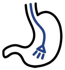 Endoscopic Icon |